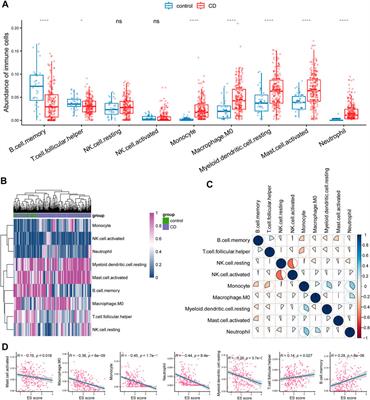 Integrative bioinformatics analysis to identify the effects of circadian rhythm on Crohn’s disease